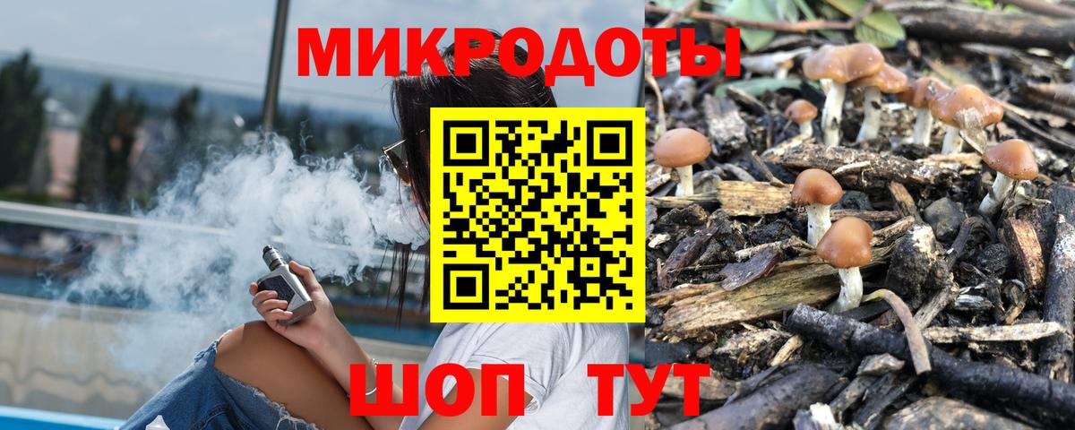 Псилоцибиновые грибы Psilocybe Людиново