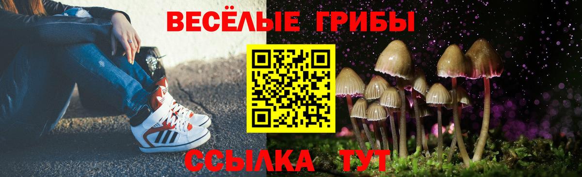 Людиново  Галлюциногенные грибы MAGIC MUSHROOMS  Псилоцибиновые грибы Cubensis  Вход с VPN 